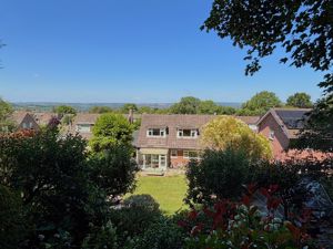 Rear View- click for photo gallery